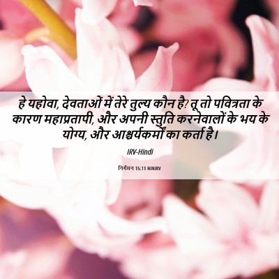 Picture 06 - निर्गमन 15:11 HINIRV - हे यहोवा, देवताओं - Bible Verse Picture