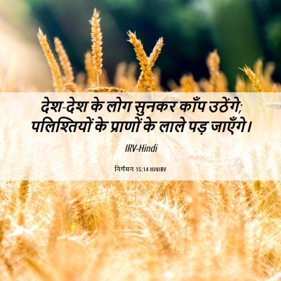 Picture 06 - निर्गमन 15:14 HINIRV - देश-देश के लोग - Bible Verse Picture