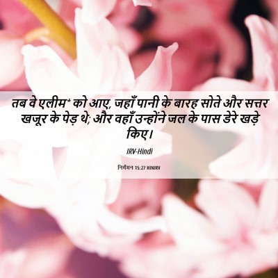 Picture 06 - निर्गमन 15:27 HINIRV - तब वे एलीम* को आए, - Bible Verse Picture