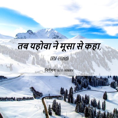 Picture 06 - निर्गमन 16:11 HINIRV - तब यहोवा ने मूसा से - Bible Verse Picture