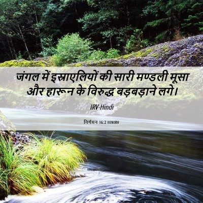Picture 06 - निर्गमन 16:2 HINIRV - जंगल में - Bible Verse Picture