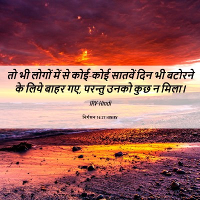 Picture 06 - निर्गमन 16:27 HINIRV - तो भी लोगों में से - Bible Verse Picture