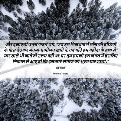 Picture 06 - निर्गमन 16:3 HINIRV - और इस्राएली उनसे - Bible Verse Picture