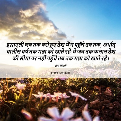 Picture 06 - निर्गमन 16:35 HINIRV - इस्राएली जब तक बसे - Bible Verse Picture