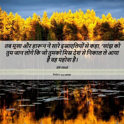 Picture 06 - निर्गमन 16:6 HINIRV - तब मूसा और हारून ने - Bible Verse Picture