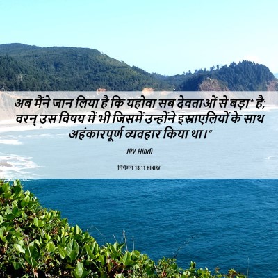 Picture 06 - निर्गमन 18:11 HINIRV - अब मैंने जान लिया - Bible Verse Picture