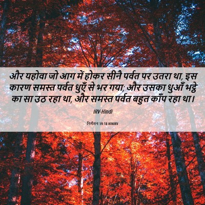 Picture 06 - निर्गमन 19:18 HINIRV - और यहोवा जो आग में - Bible Verse Picture