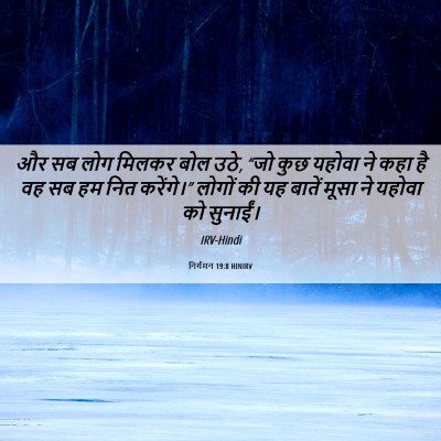 Picture 06 - निर्गमन 19:8 HINIRV - और सब लोग मिलकर बोल - Bible Verse Picture