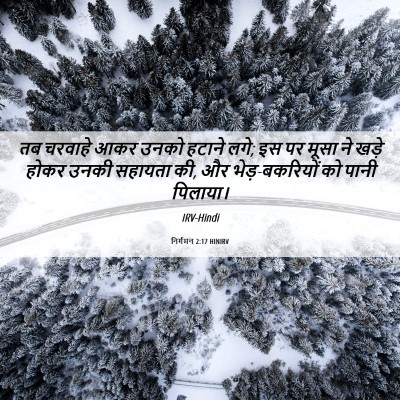 Picture 06 - निर्गमन 2:17 HINIRV - तब चरवाहे आकर उनको - Bible Verse Picture