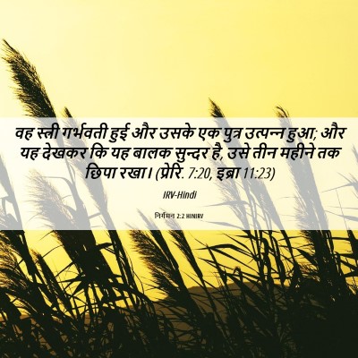 Picture 06 - निर्गमन 2:2 HINIRV - वह स्त्री गर्भवती - Bible Verse Picture