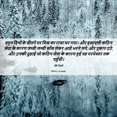 Picture 06 - निर्गमन 2:23 HINIRV - बहुत दिनों के - Bible Verse Picture