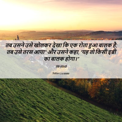 Picture 06 - निर्गमन 2:6 HINIRV - तब उसने उसे खोलकर - Bible Verse Picture