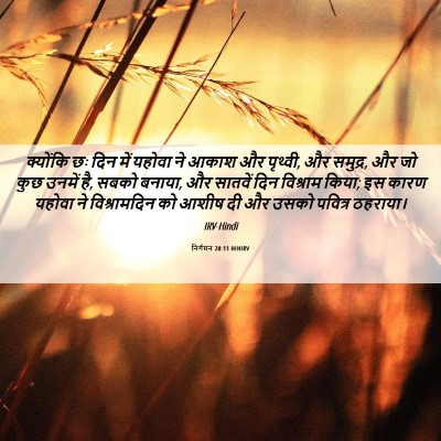 Picture 06 - निर्गमन 20:11 HINIRV - क्योंकि छः दिन में - Bible Verse Picture