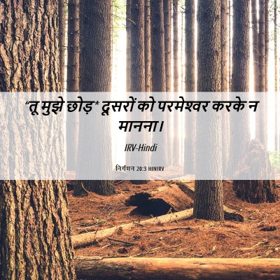 Picture 06 - निर्गमन 20:3 HINIRV - “तू मुझे छोड़* - Bible Verse Picture