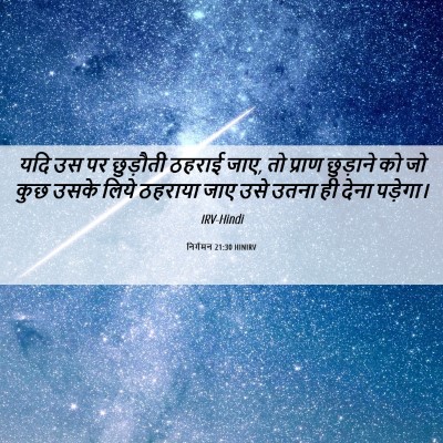 Picture 06 - निर्गमन 21:30 HINIRV - यदि उस पर छुड़ौती - Bible Verse Picture