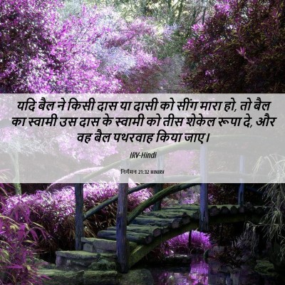 Picture 06 - निर्गमन 21:32 HINIRV - यदि बैल ने किसी दास - Bible Verse Picture