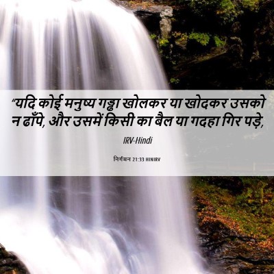 Picture 06 - निर्गमन 21:33 HINIRV - “यदि कोई मनुष्य - Bible Verse Picture