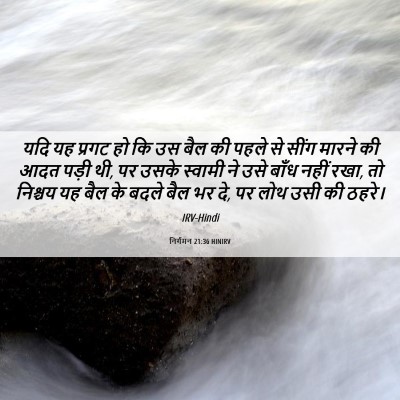 Picture 06 - निर्गमन 21:36 HINIRV - यदि यह प्रगट हो कि - Bible Verse Picture