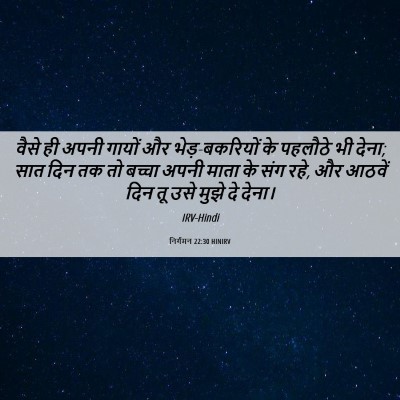 Picture 06 - निर्गमन 22:30 HINIRV - वैसे ही अपनी गायों - Bible Verse Picture