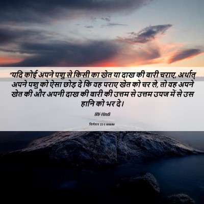 Picture 06 - निर्गमन 22:5 HINIRV - “यदि कोई अपने पशु - Bible Verse Picture
