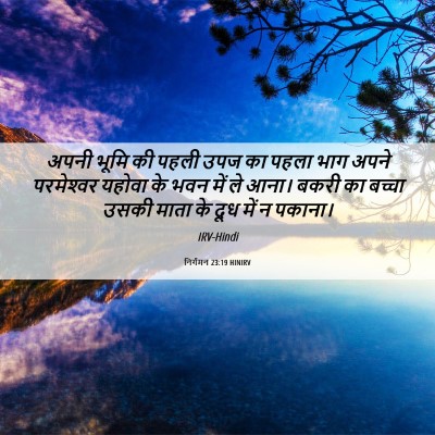 Picture 06 - निर्गमन 23:19 HINIRV - अपनी भूमि की पहली - Bible Verse Picture