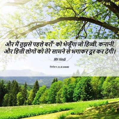 Picture 06 - निर्गमन 23:28 HINIRV - और मैं तुझसे पहले - Bible Verse Picture