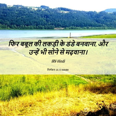 Picture 06 - निर्गमन 25:13 HINIRV - फिर बबूल की लकड़ी - Bible Verse Picture