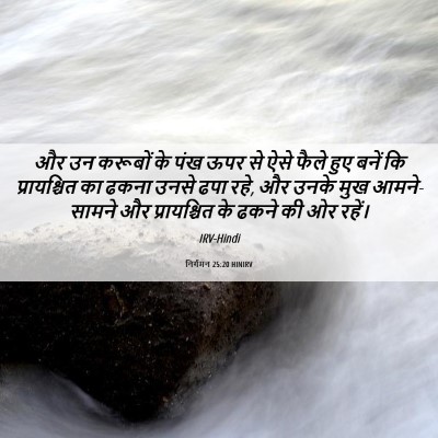 Picture 06 - निर्गमन 25:20 HINIRV - और उन करूबों के पंख - Bible Verse Picture