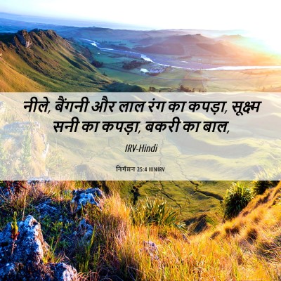 Picture 06 - निर्गमन 25:4 HINIRV - नीले, बैंगनी और लाल - Bible Verse Picture