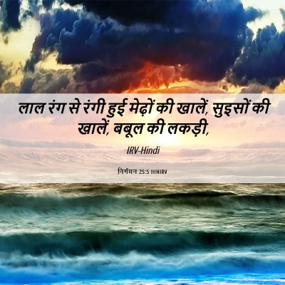 Picture 06 - निर्गमन 25:5 HINIRV - लाल रंग से रंगी हुई - Bible Verse Picture