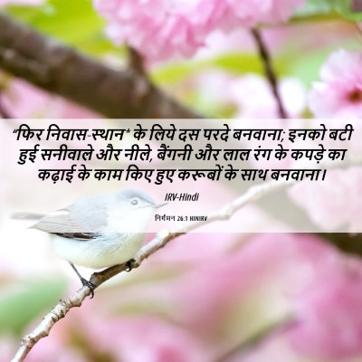 Picture 06 - निर्गमन 26:1 HINIRV - “फिर निवास-स्थान* - Bible Verse Picture