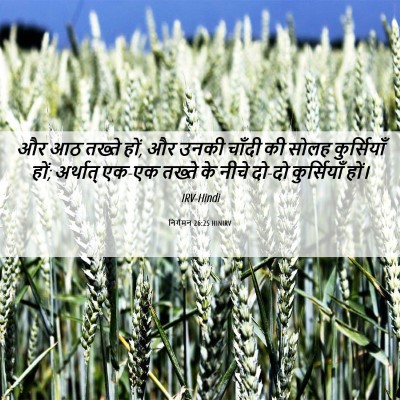 Picture 06 - निर्गमन 26:25 HINIRV - और आठ तख्ते हों, और - Bible Verse Picture