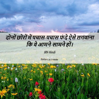 Picture 06 - निर्गमन 26:5 HINIRV - दोनों छोरों में - Bible Verse Picture