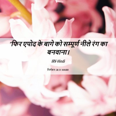 Picture 06 - निर्गमन 28:31 HINIRV - “फिर एपोद के बागे - Bible Verse Picture