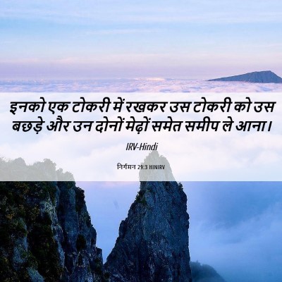 Picture 06 - निर्गमन 29:3 HINIRV - इनको एक टोकरी में - Bible Verse Picture