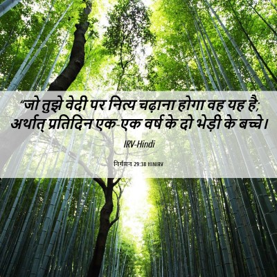 Picture 06 - निर्गमन 29:38 HINIRV - “जो तुझे वेदी पर - Bible Verse Picture