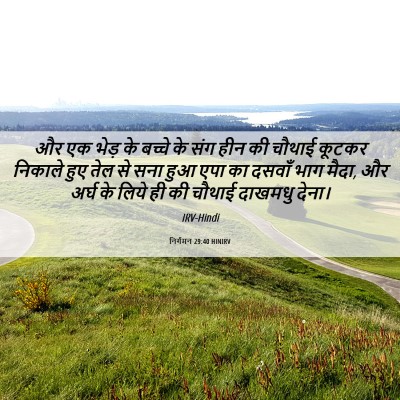 Picture 06 - निर्गमन 29:40 HINIRV - और एक भेड़ के बच्चे - Bible Verse Picture