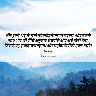 Picture 06 - निर्गमन 29:41 HINIRV - और दूसरे भेड़ के - Bible Verse Picture