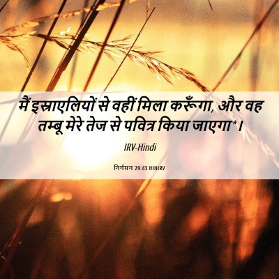 Picture 06 - निर्गमन 29:43 HINIRV - मैं इस्राएलियों - Bible Verse Picture
