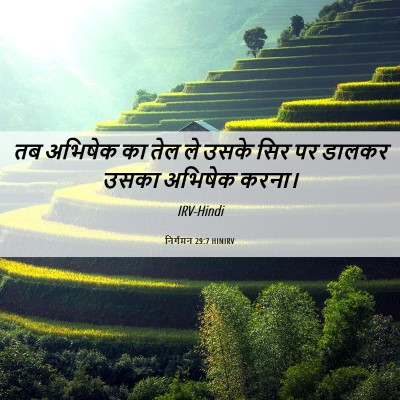 Picture 06 - निर्गमन 29:7 HINIRV - तब अभिषेक का तेल ले - Bible Verse Picture