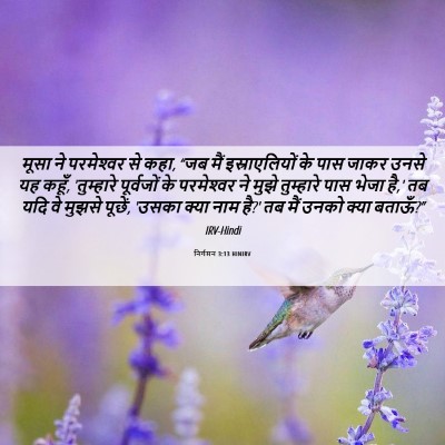 Picture 06 - निर्गमन 3:13 HINIRV - मूसा ने परमेश्‍वर - Bible Verse Picture