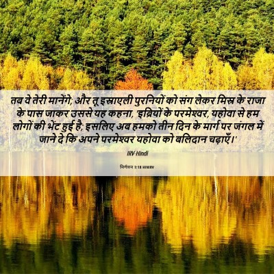 Picture 06 - निर्गमन 3:18 HINIRV - तब वे तेरी मानेंगे; - Bible Verse Picture