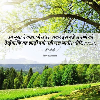 Picture 06 - निर्गमन 3:3 HINIRV - तब मूसा ने कहा, - Bible Verse Picture