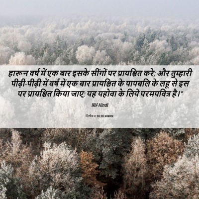 Picture 06 - निर्गमन 30:10 HINIRV - हारून वर्ष में एक - Bible Verse Picture
