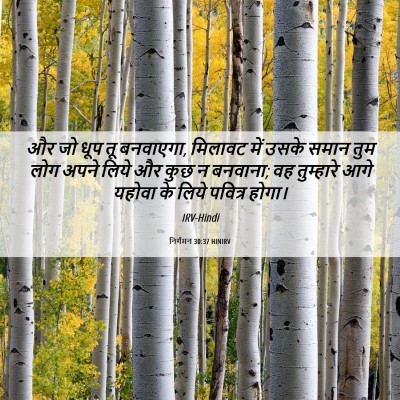 Picture 06 - निर्गमन 30:37 HINIRV - और जो धूप तू - Bible Verse Picture