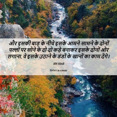 Picture 06 - निर्गमन 30:4 HINIRV - और इसकी बाड़ के - Bible Verse Picture