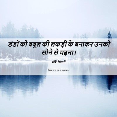 Picture 06 - निर्गमन 30:5 HINIRV - डंडों को बबूल की - Bible Verse Picture