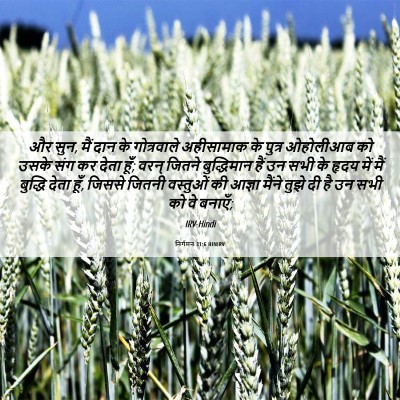 Picture 06 - निर्गमन 31:6 HINIRV - और सुन, मैं दान के - Bible Verse Picture