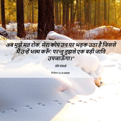 Picture 06 - निर्गमन 32:10 HINIRV - अब मुझे मत रोक, - Bible Verse Picture