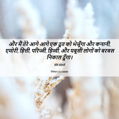 Picture 06 - निर्गमन 33:2 HINIRV - और मैं तेरे आगे-आगे - Bible Verse Picture
